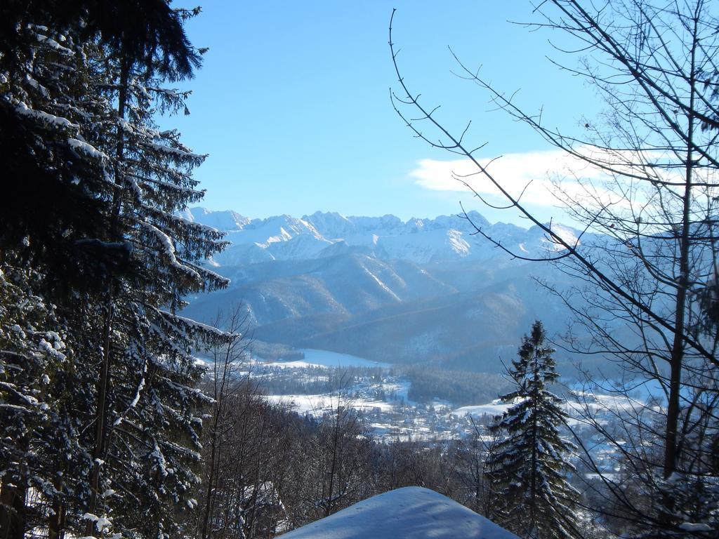 Chata Stacha Villa Zakopane Exterior foto